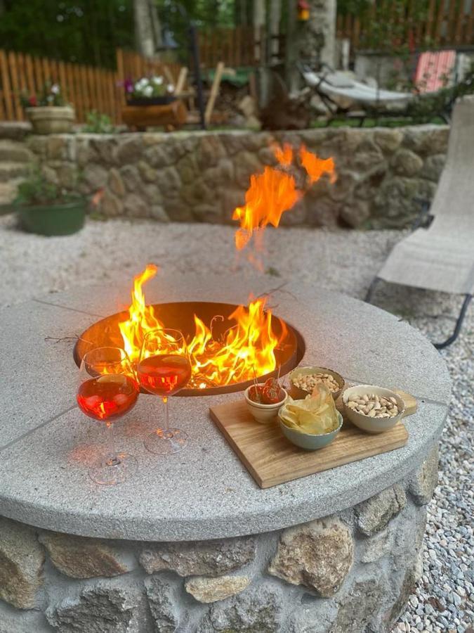 Chalet I Folletti Daire Abbadia San Salvator Dış mekan fotoğraf