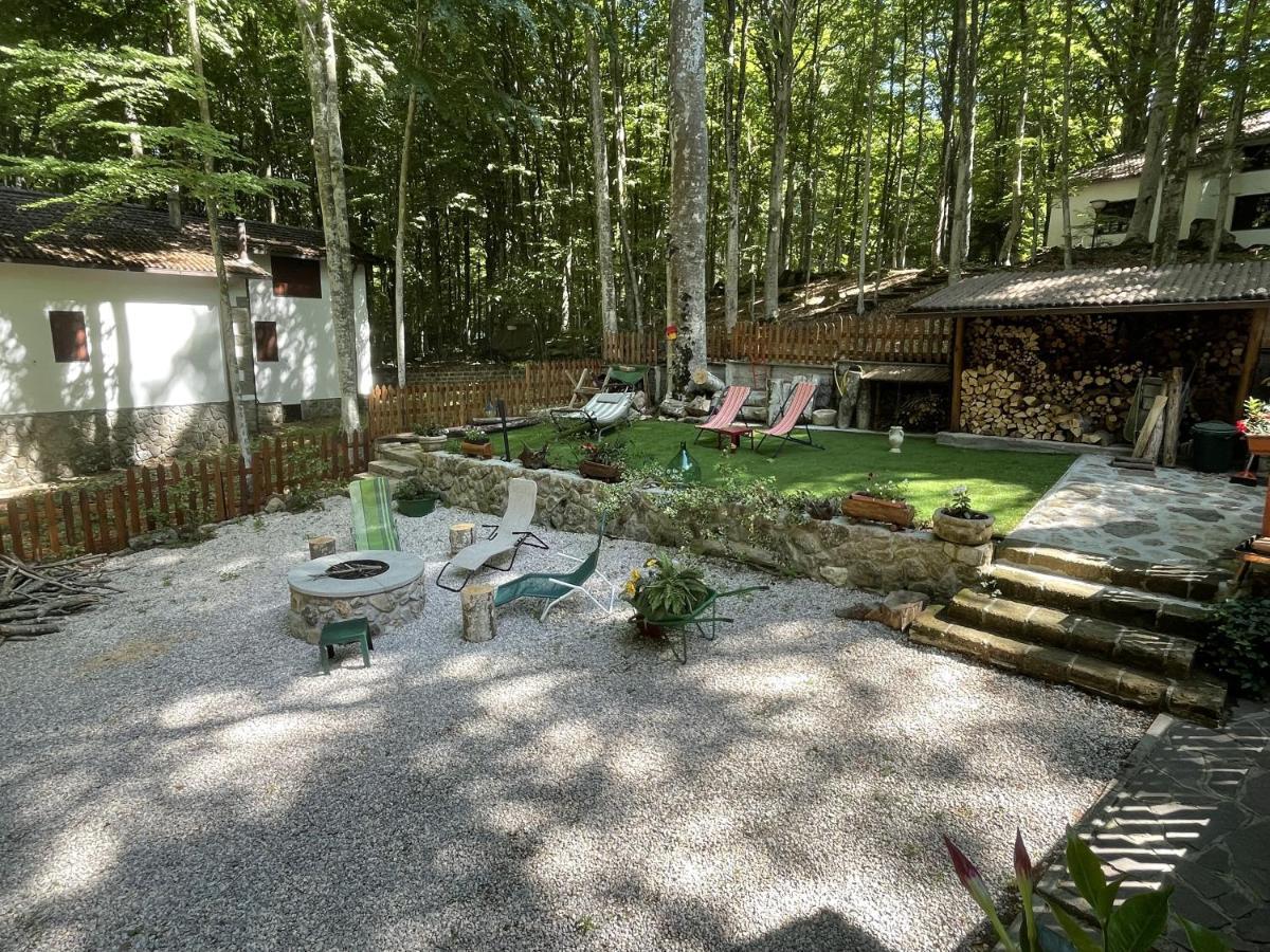 Chalet I Folletti Daire Abbadia San Salvator Dış mekan fotoğraf