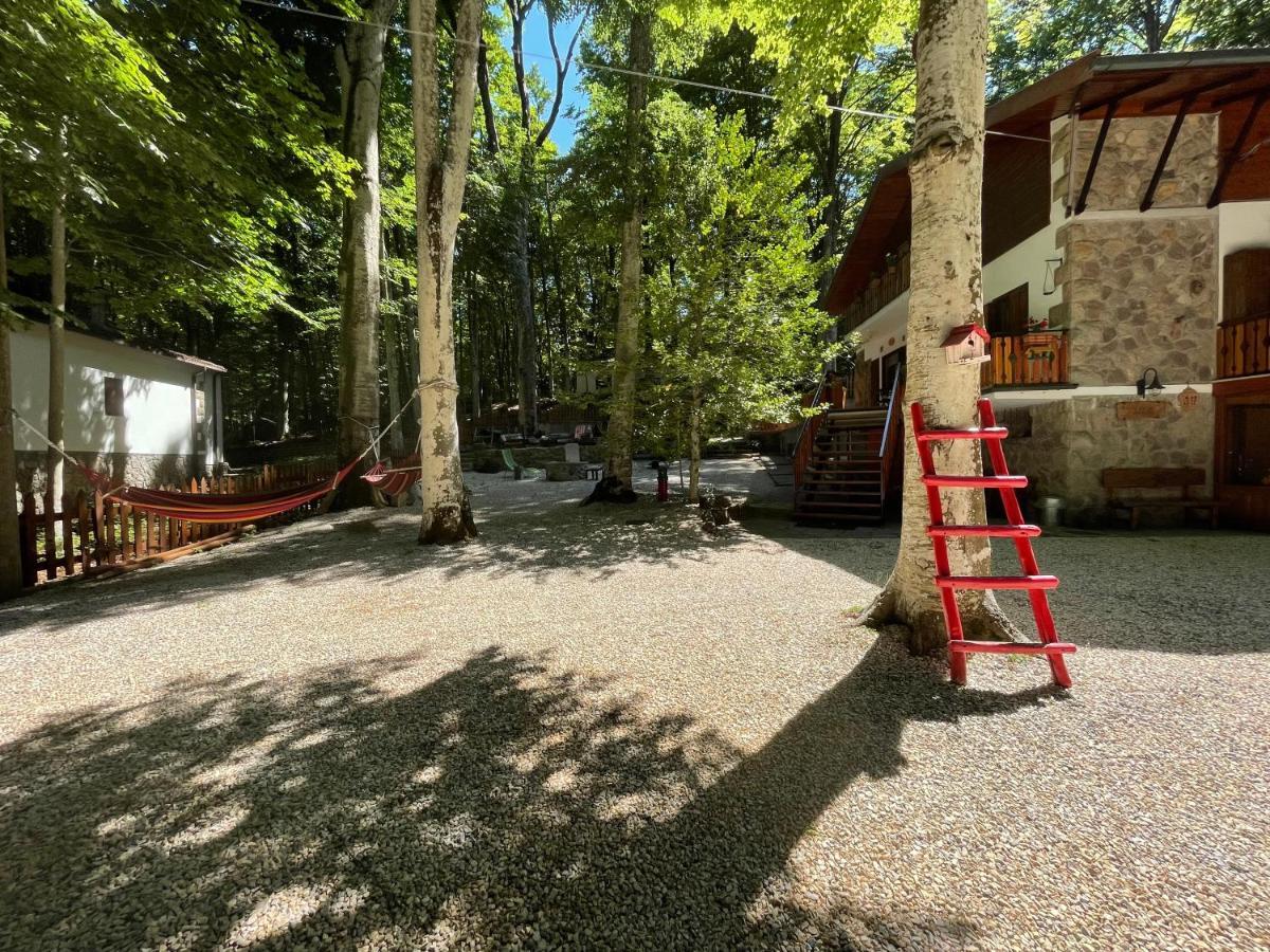 Chalet I Folletti Daire Abbadia San Salvator Dış mekan fotoğraf