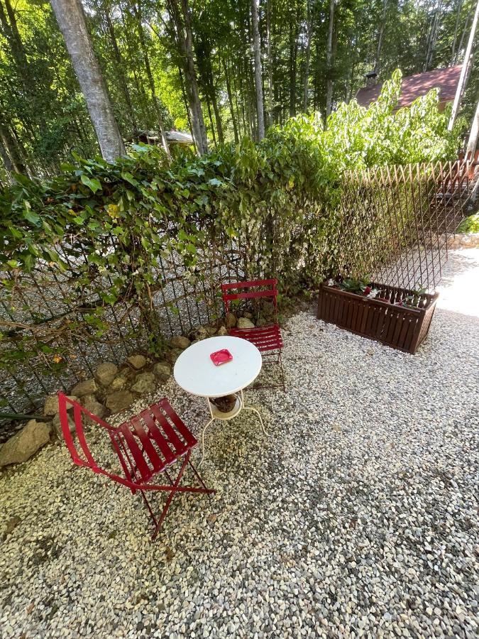 Chalet I Folletti Daire Abbadia San Salvator Dış mekan fotoğraf