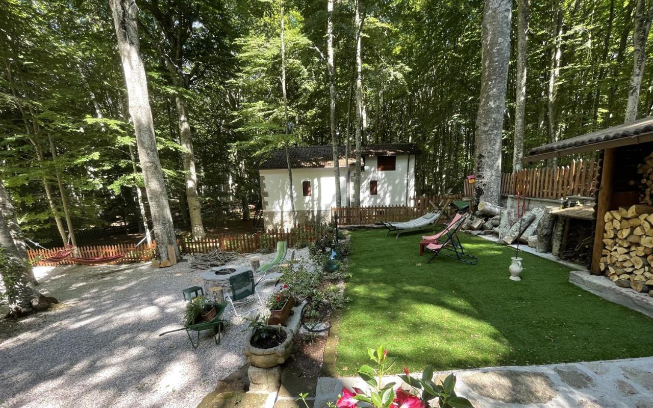Chalet I Folletti Daire Abbadia San Salvator Dış mekan fotoğraf