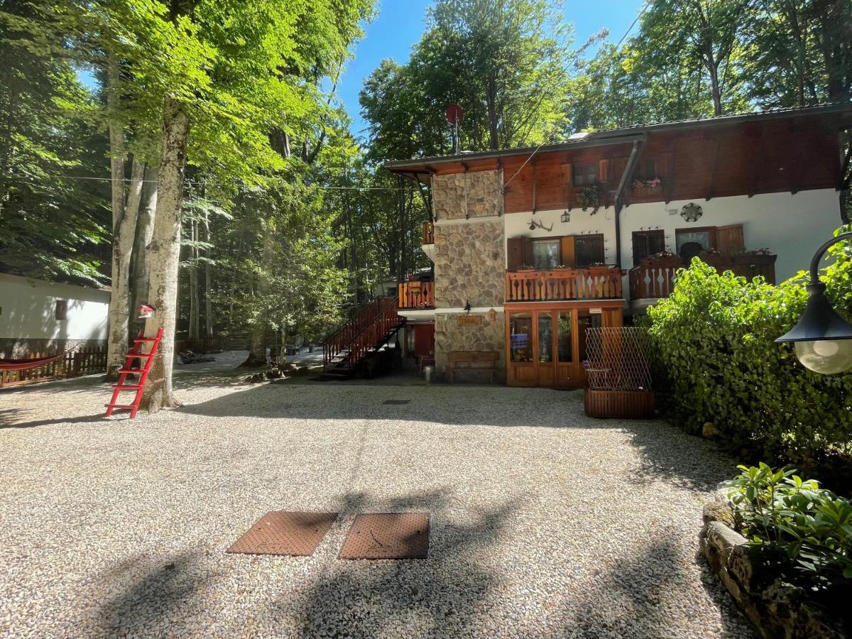 Chalet I Folletti Daire Abbadia San Salvator Dış mekan fotoğraf
