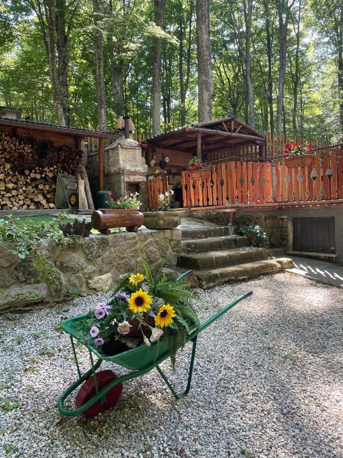 Chalet I Folletti Daire Abbadia San Salvator Dış mekan fotoğraf